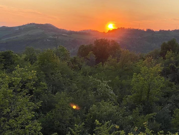 Të gjitha do të mund t’i përktheja “dashuri”!