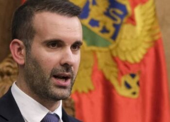 Mali i Zi kundër Serbisë për Srebrenicën, Spajiç: Votojmë për të dënuar gjenocidin! Jemi 100% dakord me politikën e jashtme të BE