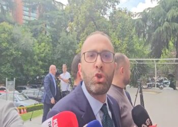 Rezoluta Antikorrupsion, Bardhi: Rama mbron krimin, e përdor për të vjedhur zgjedhjet
