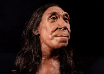 Jeni kureshtarë? Zbulohet si dukej fytyra e gruas neandertal 75 mijë vjet më parë