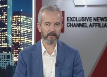 Vota e diasporës, Celibashi: Palët politike të lënë retorikat, të ndërmarrin veprime konkrete