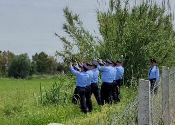 “Nuk ndodhi rastësisht”, të afërmit e Novruz Cenalisë dyshime për vrasjen e policit 28-vjeçar