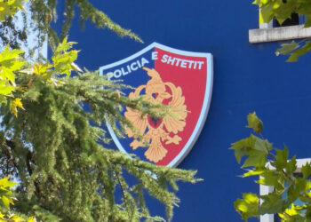 Emri/ Vihet në pranga 26-vjeçari, dëmtoi dhomën e shoqërimit dhe kundërshtoi policin