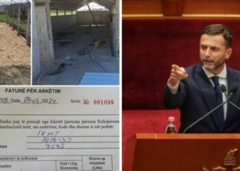 FOTO/ Gjobitet rëndë fermeri pas ndërtimit të stallës pa leje, reagon ashpër Braçe: A jeni në terezi apo jo?!