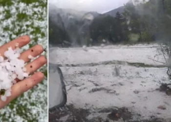 Breshër i pazakontë në Korçë, shkatërron kulturat bujqësore dhe pemët frutore