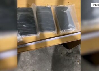 Operacioni ‘Pakot’’\ Policia tregon se ku ishte fshehur kokaina në Portin e Durrësit (Fotot)