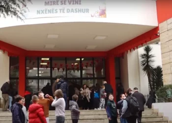 Kryetarja e Agjencisë për Mbrojtjen e Fëmijëve: Mbi dy mijë të mitur janë me urdhër mbrojtjeje, ja sa janë përdorues droge