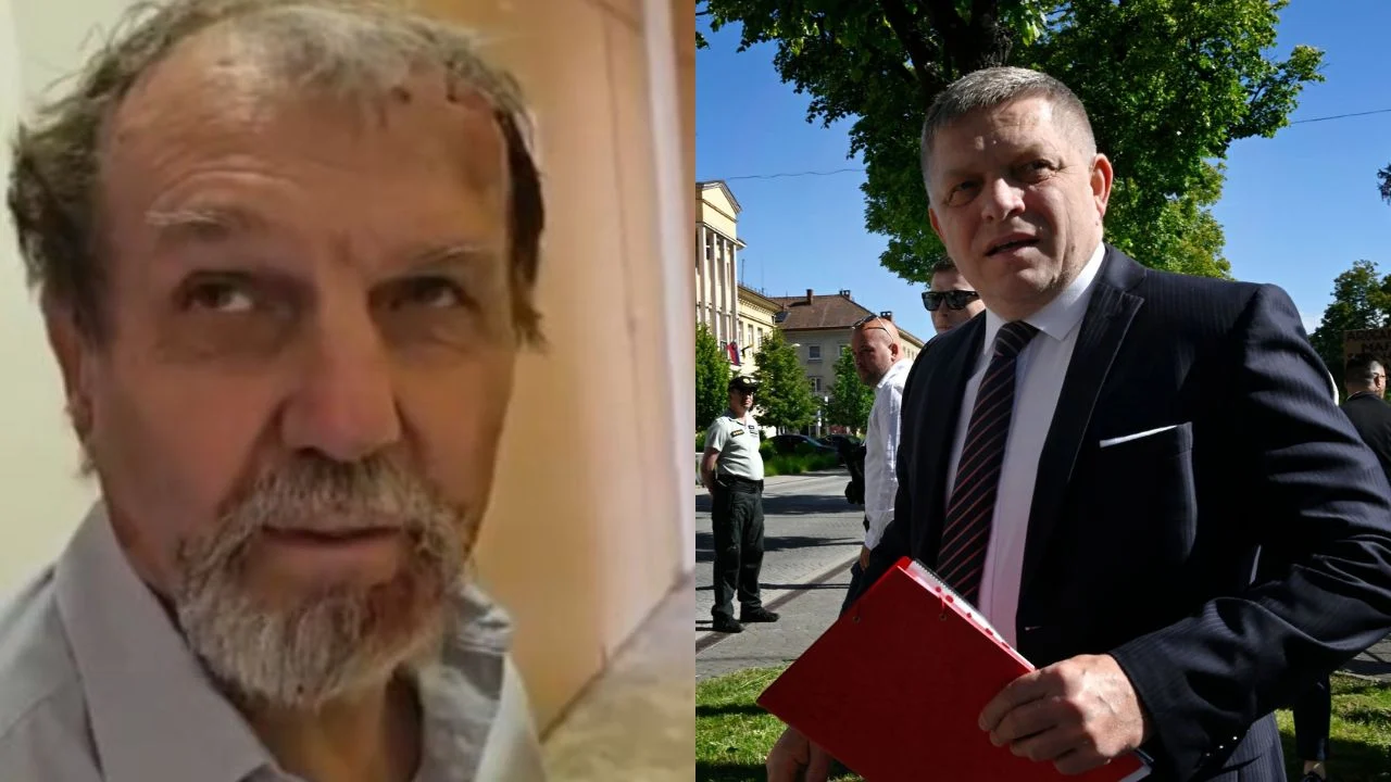 VIDEO/ Plagosi rëndë kryeministrin sllovak, dalin pamjet e autorit pas arrestimit: E qëllova sepse…!