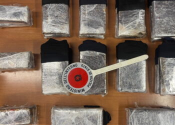 Drogë me autobus nga Shqipëria drejt Italisë, arrestohen 3 persona, sekuestrohet 25 kg kokainë