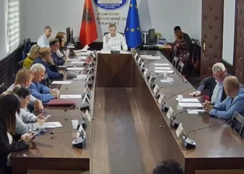 Ndryshon ligji i privatizimit: Prona shtetërore mund të këmbehet me pasuri private, opozita: Hoqët përgjegjësitë