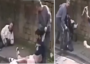 VIDEO+FOTO/ ‘Drejtësi rruge’ e menjëhershme jepet nga kalimtarët ndaj rrugaçit që sulmoi të moshuarin