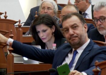 Kalimi i pronës shtetërore në private, Çupi: Po ia jepni klientëve për kulla; Shalsi: Po dezinformoni!