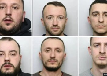 EMRAT/ Ngritën fermën me kanabis me vlerë 446 mijë euro, 6 shqiptarë dënohen në Britani