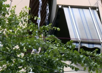 Vdekja e ukrainaseve/ Ndryshonin shpesh shtëpi për të shërbyer si punonjëse seksi! Shoqja e tyre, çelës për zbardhjen e ngjarjes