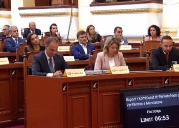 Ikën Agalliu dhe Pampuri, Salianji e Vokshi nënkryetarë/Ndryshimet në Kryesinë e Grupit Parlamentar të PD