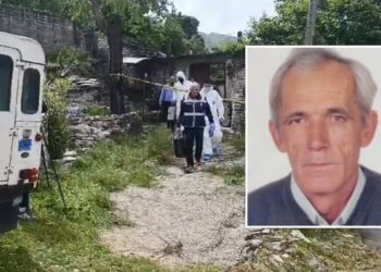 “Gjejeni vrasësin, nuk jam unë”, lihet në burg i akuzuari për vrasjen e çiftit të moshuar në Dropull