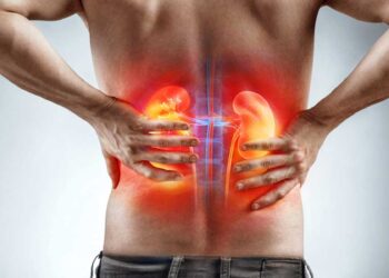 Nëse doni të pastroni veshkat për 15 ditë, ju duhet kjo recetë