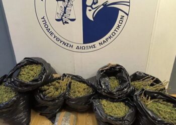 VIDEO/ Kishin ngritur shtëpi bari në Athinë, arrestohen tre shqiptarë