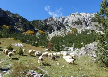 Le Figaro: Alpet shqiptare, një Eldorado për turistët