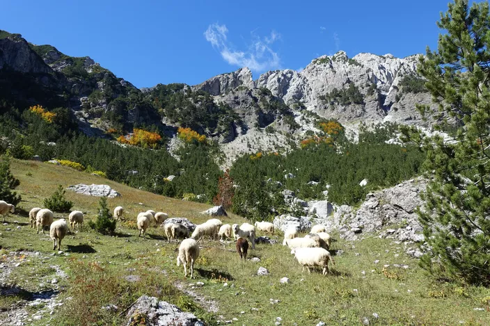 Le Figaro: Alpet shqiptare, një Eldorado për turistët