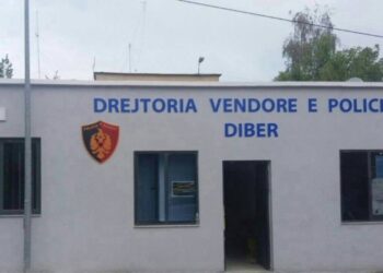 Dhunuan bashkëshortet, pranga dy personave në Dibër e Mat