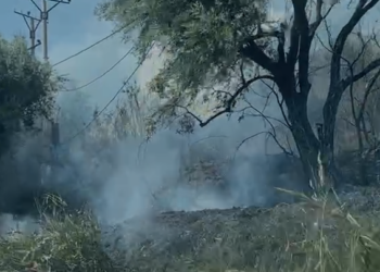 Përfshihen nga flakët ullishtet në Radhimë, rrezikohet të shkrumbohet hoteli