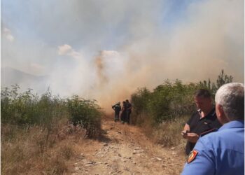 Zjarr në fshatin Vllahat në Delvinë, digjen ullishtet, rrezikohen disa banesa