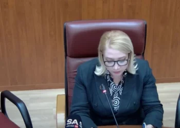 Kushtetuesja rrëzon ligjin për taksimin e profesioneve të lira, Zaçaj: Bie tatimi 15%