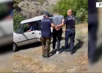 Kishte kultivuar kanabis në fshatin Gojan i Vogël, arrestohet 29 vjeçari