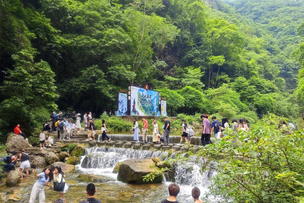 Festa e Varkës së Dragoit,shënon rritje të ndjeshme të të ardhurave