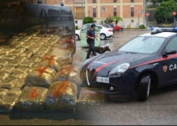 “Të lidhur me Ndraghetan”, Antimafia italiane: Shqiptarët “kontrollojnë” Romën me vulën e klanit Casamonica