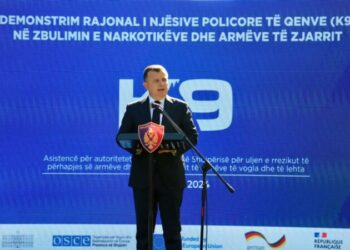 Porosia ndaj policisë, Balla: Rrisni kontrollet kundër armëmbajtjes pa leje dhe trafikut të drogës