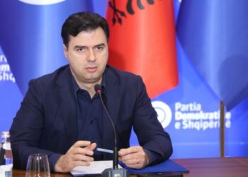 Apeli i dha vulën dhe logon Sali Berishës, zbulohet lëvizja e radhës e Lulzim Bashës!