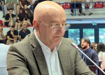 PD/ Bejko: Tavan për numrin e punonjësve dhe administratës vendore, zona të lira ekonomike për emigrantët e diasporën