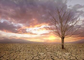 Alarmi i OKB: Duhet vepruar urgjent për të shmangur “ferrin klimatik”