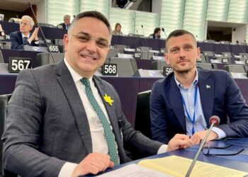 Adnan Dibrani, deputeti i parë kosovar në Parlamentin Europian