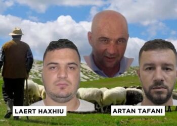 Dosja e SPAK/ Kujtim Meta i vëzhgonte çobanët e deleve, Laert Haxhiu urdhëroi vrasjen e tij pas sinjalizimit