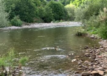 FOTO/Humbi jetën tragjikisht teksa peshkonte në lumë, ja kush është 30-vjeçari