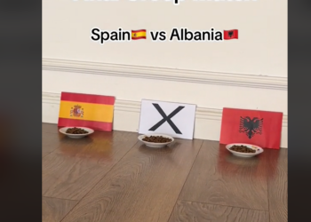 VIDEO që po çmend rrjetin / Macja Luna parashikon fitoren e sigurt të kuqezinjve ndaj Spanjës