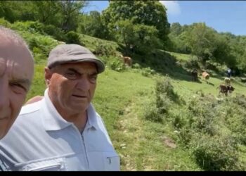 VIDEO/ Fushata blegtorale e Ilir Metës, takohet me fermerin: Do japim nga 200 euro për çdo kokë lopë