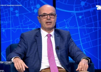 Tërmeti në zgjedhjet për PE, Petro Koçi: Na qetëson që blloku që ishte në pushtet, u rikonfirmua