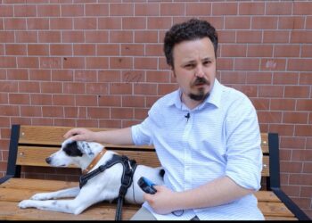 Shqipëri-Spanjë, qeni Roko parashikon rezultatin e ndeshjes përcaktuese për kuqezinjtë