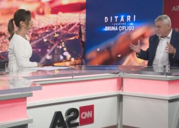 Protesta e opozitës më 12 korrik, Shehi: Manovër për të mbyllur hesapet e fundit brenda PD