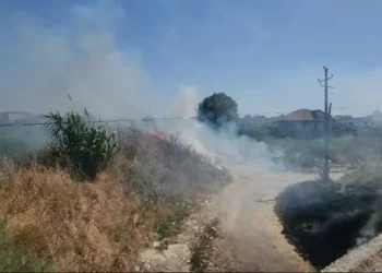 Vatër e madhe zjarri në Fier, rrezikohen banesa dhe biznese: Era favorizon flakët, tri zjarrfikëse në terren