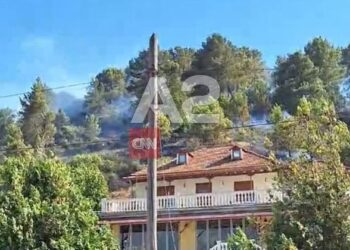 Mister shkaku/ Zjarr i madh në Lazarat, flakët rrezikojnë banesat