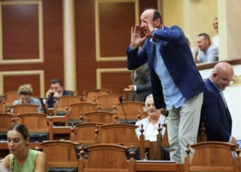 Dash Sula nuk përmbahet gjatë seancës plenare, hipën mbi tavolinë dhe i thërret kolegëve
