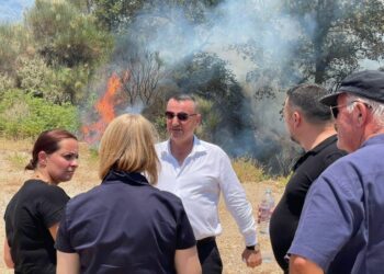 Vatra aktive zjarri në Delvinë, Denaj: Strukturat në terren për shuarjen e tyre