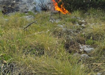 (Foto)Vijon zjarri në Parkun Kombëtar të Lurës\ Flakët djegin mbi 10 ha kullotë dhe pyje