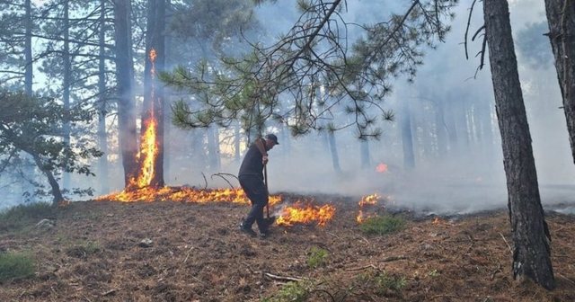 Zjarr masiv në Mirditë! Flakët shkrumbojnë dy banesa, rrezikojnë edhe të tjera