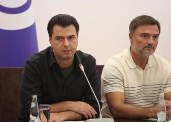 “Nuk kishte legjitimitet!”/ Zbardhet vendimi i Gjykatës së Apelit për vulën e PD! Basha dhe Alibeaj bënë gafë juridike